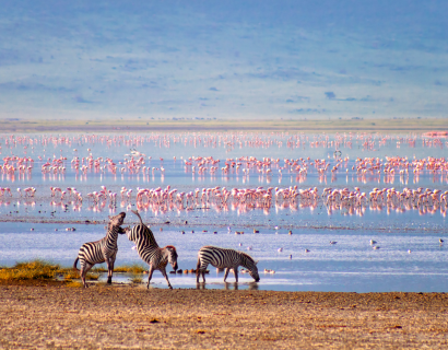 Lavish Northern Tanzania