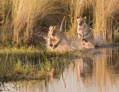 Tanzania, Botswana & Zambia: From Kilimanjaro to the Falls