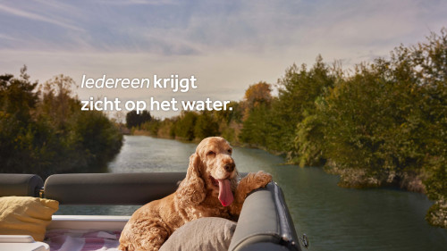 Een hond op het dek van de boot