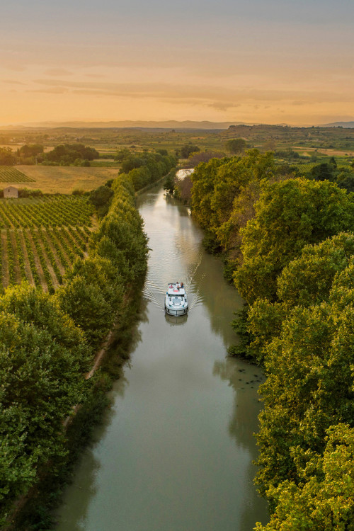 Een kanaalboot vaart in de gouden zonsondergang op het Canal du Midi, door wijngaarden en landelijk landschap – een perfect plaatje van een vaarvakantie in Frankrijk.