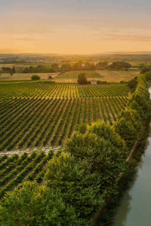A lone canal boat sails into the golden sunset on the Canal du Midi, cutting through vineyards and rural countryside for a picture-perfect moment on a French boating vacation.