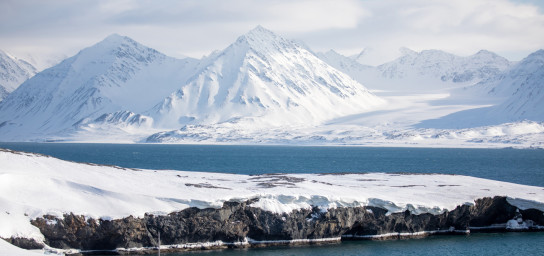 Arctic