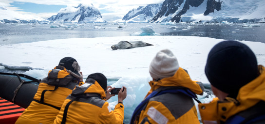 Four guests in yellow parkas look towards a Leopard seal resting on sea ice.