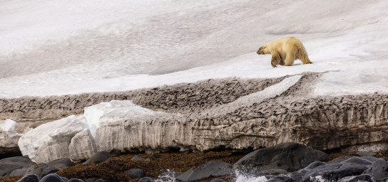 Svalbard