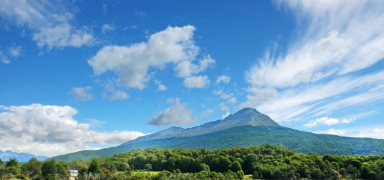 Tierra del Fuego National Park Day Trip 