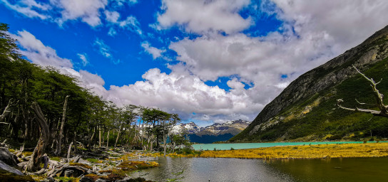 Tierra del Fuego National Park Day Trip 