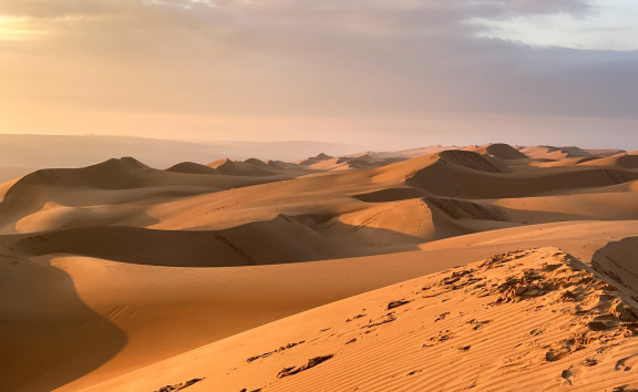 Oman Tour