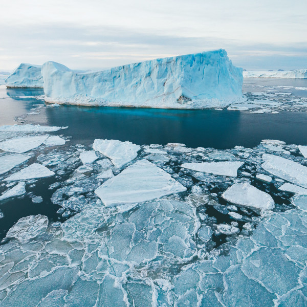 Emperor Penguin Quest: Expedition to Snow Hill