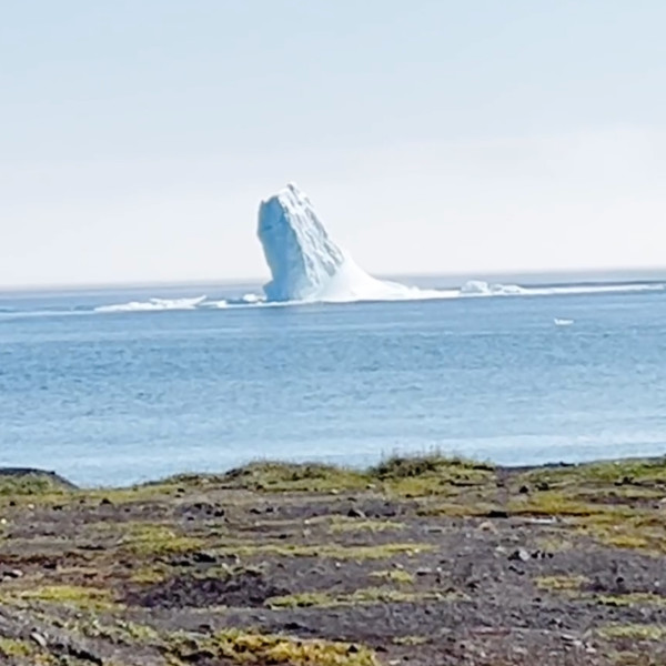 Arctic