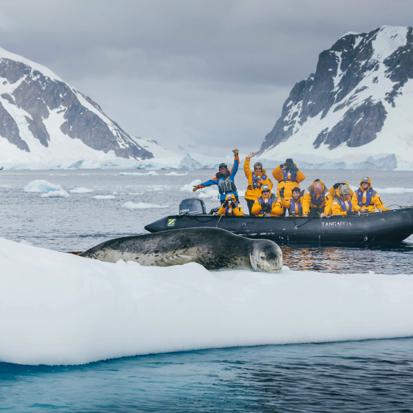 The Antarctic Peninsula