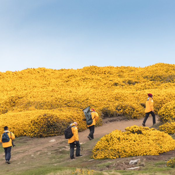 The Falkland Islands (Islas Malvinas)