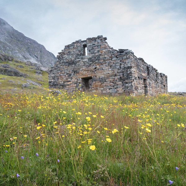 South Greenland Landscape