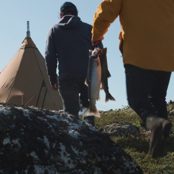 Greenland Camp Experience