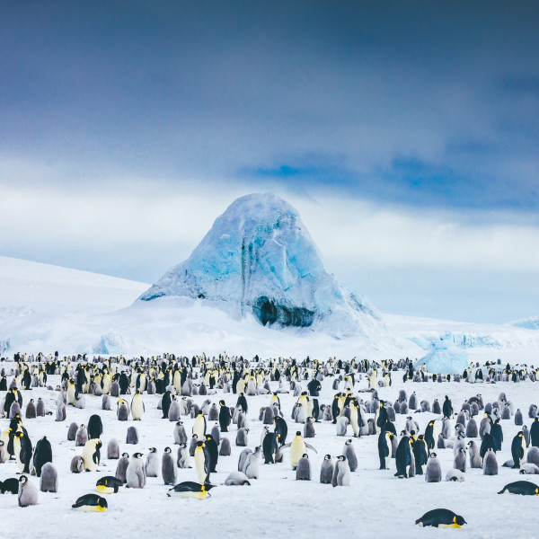 Antarctic Expeditions in 2025 & 2026