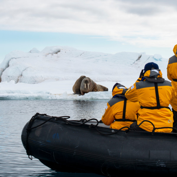 Arctic Adventure Offer