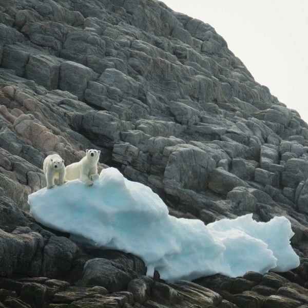 Arctic Adventure Offer
