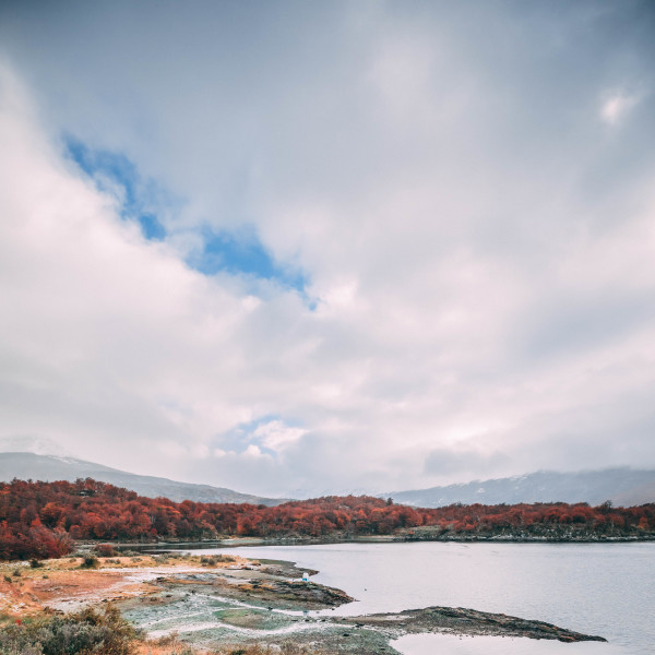 Tierra del Fuego National Park Day Trip 