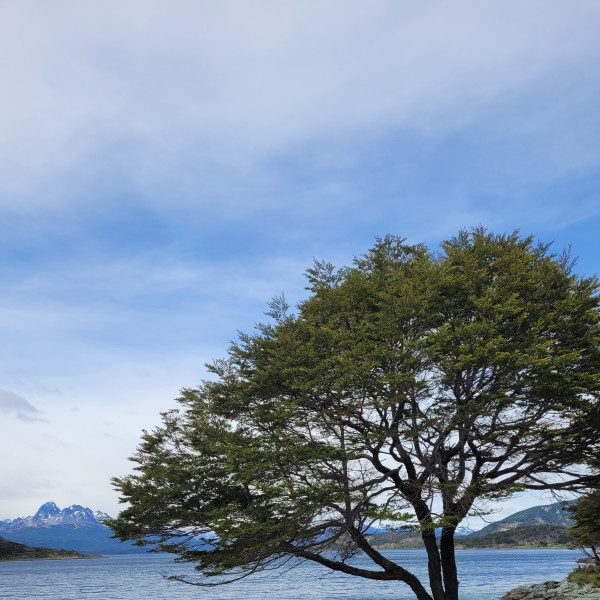 Tierra del Fuego National Park Day Trip 