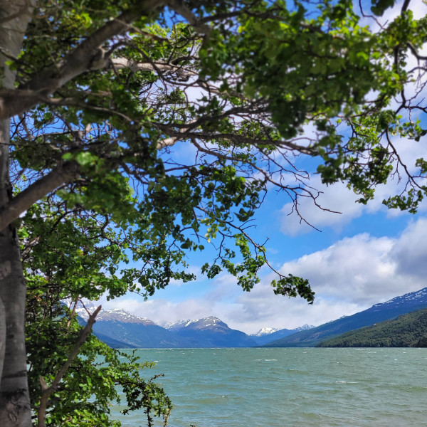 Tierra del Fuego National Park Day Trip 