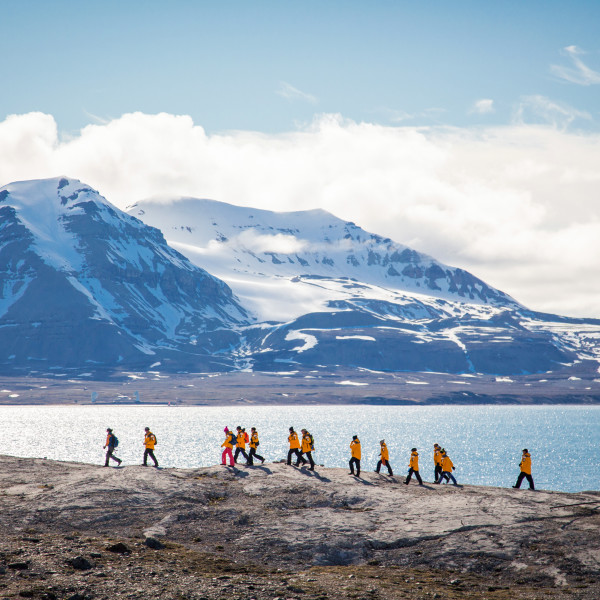 Arctic