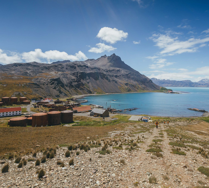 South Georgia landscape