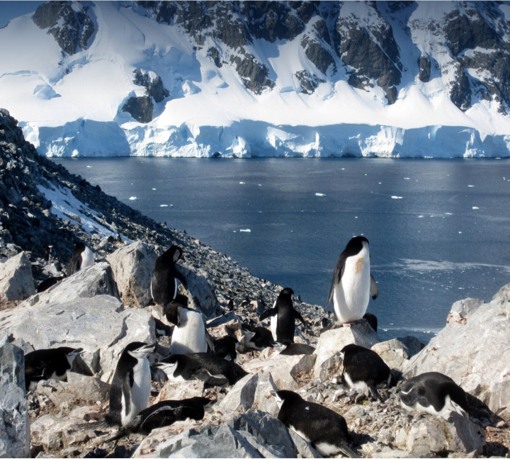 Antarctic Express: Fly South, Sail North