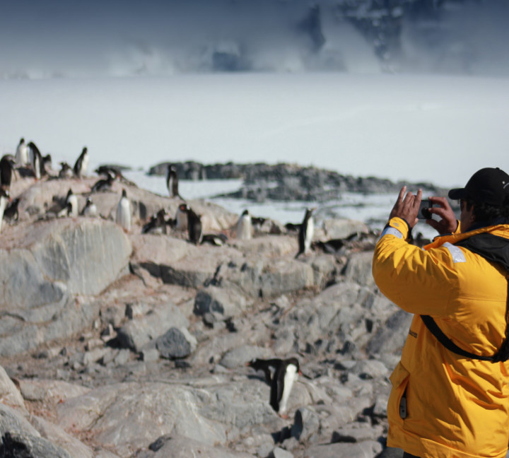 Antarctic Express: Fly South, Sail North