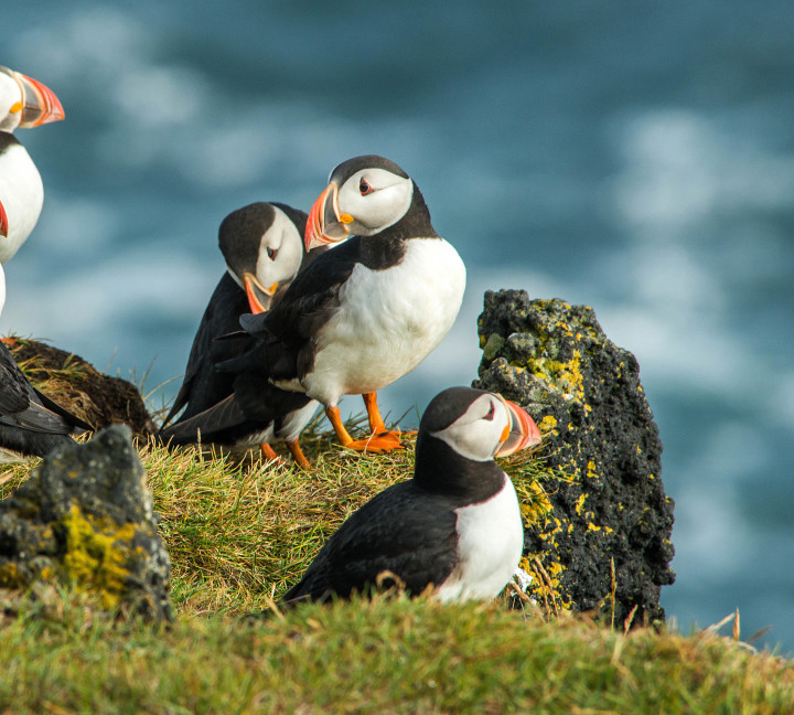 Iceland Circumnavigation: Mountains, Volcanoes and Waterfalls