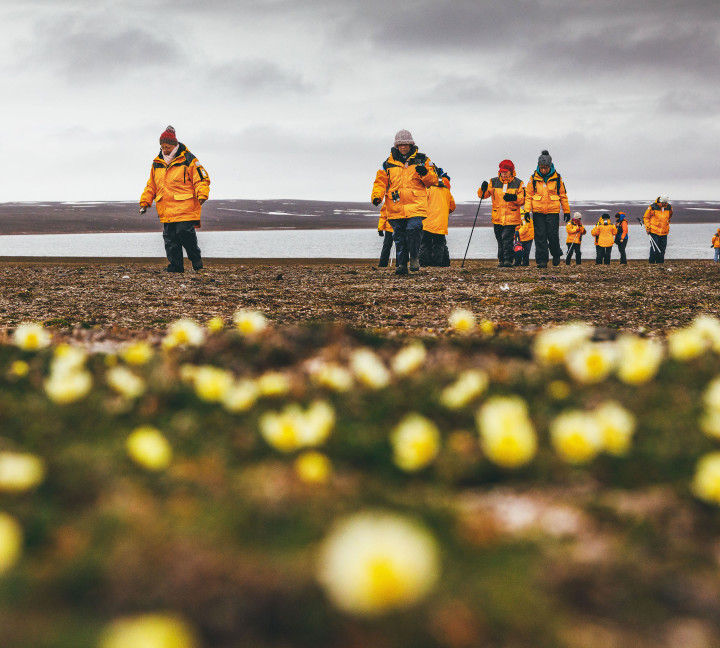 Spitsbergen Highlights: Wildlife Capital of the Arctic