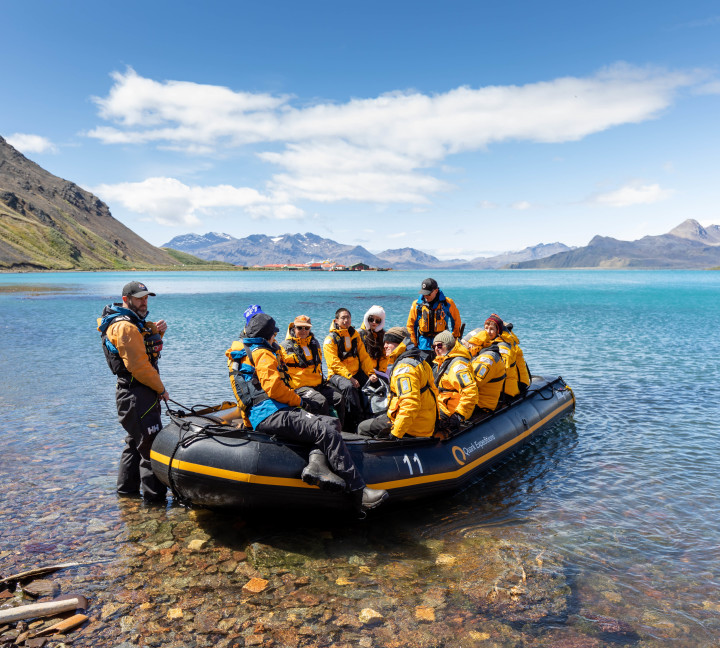 Falkland Islands and South Georgia: 20-Day Wildlife Adventure