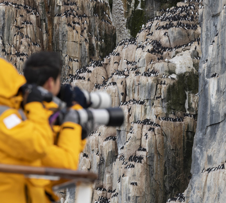 Scotland to Spitsbergen: Puffins, Sea Ice and Wildlife