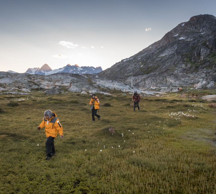 Southeast to West Greenland: Glaciers, Fjords and Viking History