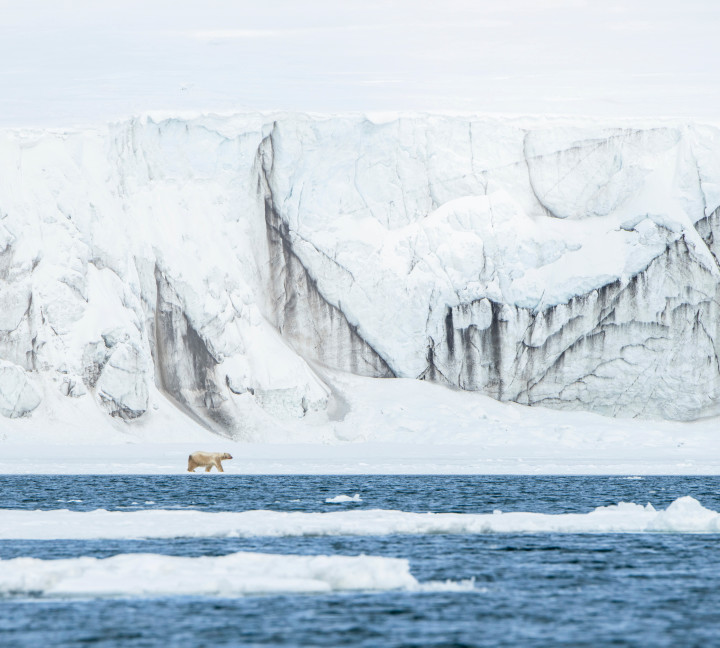 Svalbard in Spring