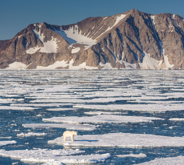 Spitsbergen Highlights: Wildlife Capital of the Arctic
