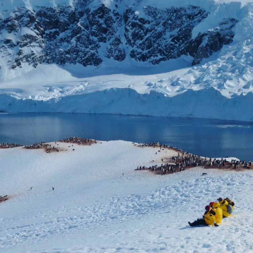 Quark passengers at Neko Harbour with penguins