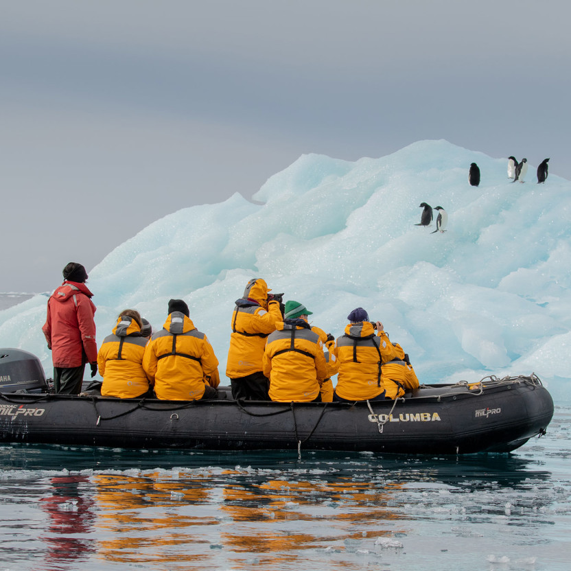 Zodiac cruising near penguins
