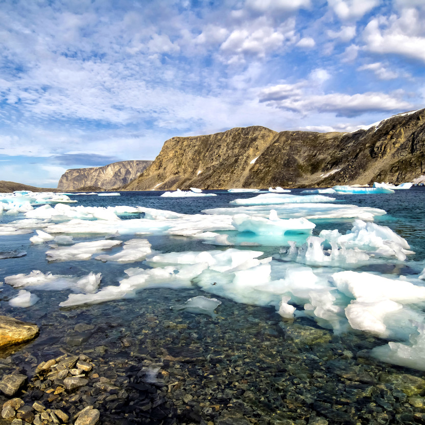 Greenland to Newfoundland: Mountains, Wildlife and Viking History