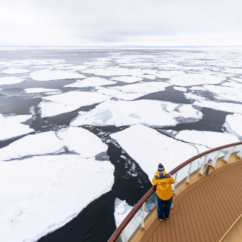 Svalbard in Spring: Sea Ice, Pristine Snow and Wildlife