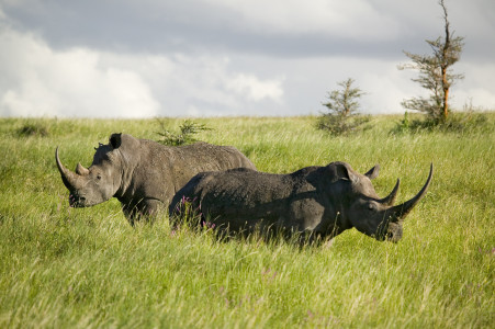 Best Time to Visit Seychelles