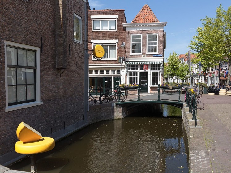 Gouda