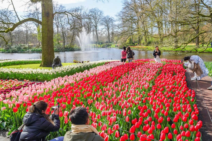 Keukenhof Gardens