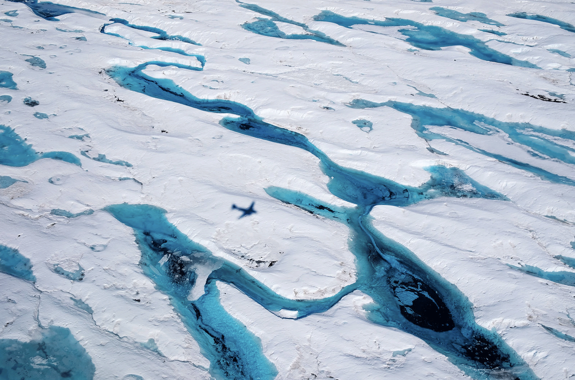 Expedition Trips to Antarctica: The Rarest Privilege, the Deepest Silence