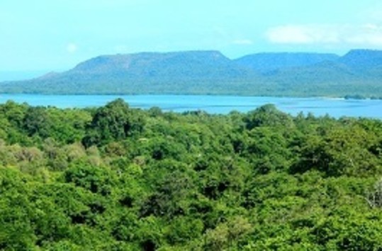Indonesia Tour