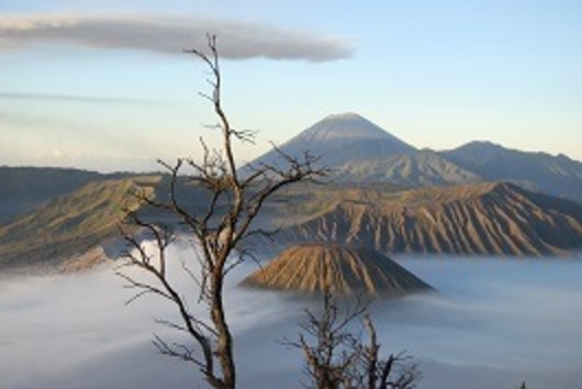 Indonesia Tour