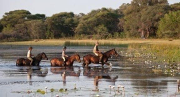 Botswana Tour