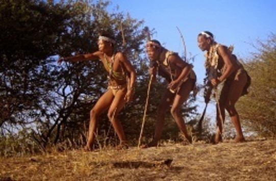 Botswana Tour
