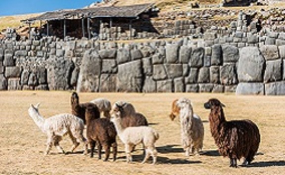 Machu Picchu Tour