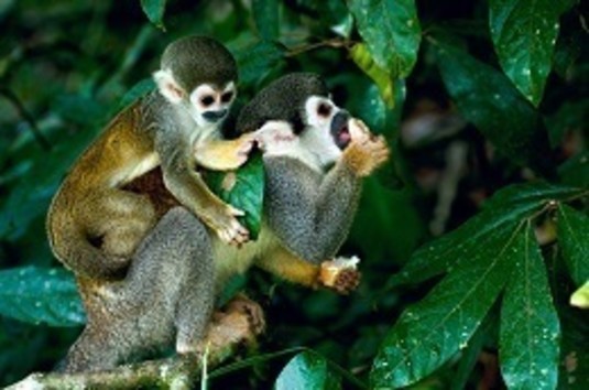 Peru Trip 2