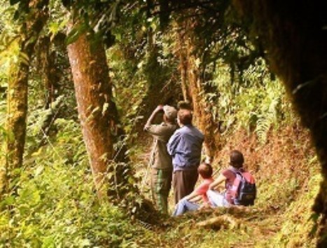 Rwanda Tour