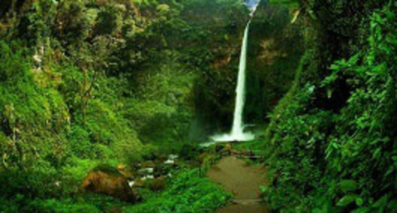 Indonesia Tour